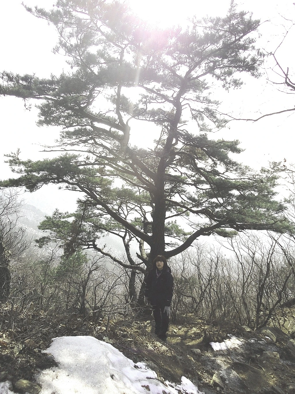 bdA_TxA6oKvSfj1DjAYvFw6jl4c