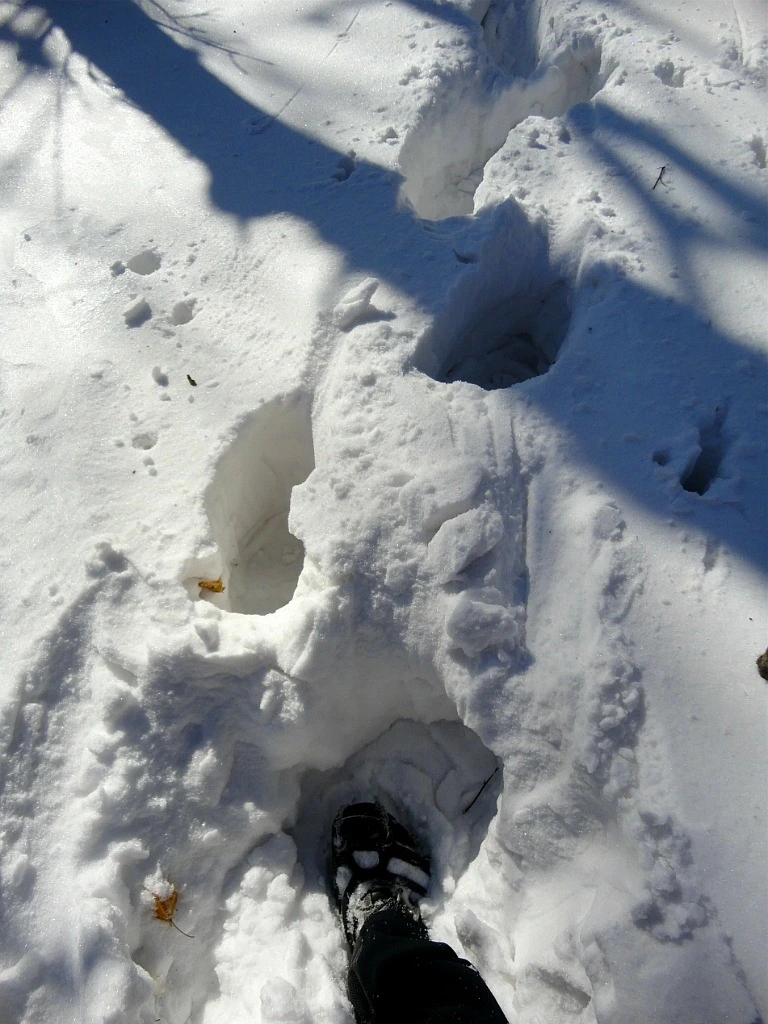 JilqSbn_IsH8YD6ywN1NGEZrRhk