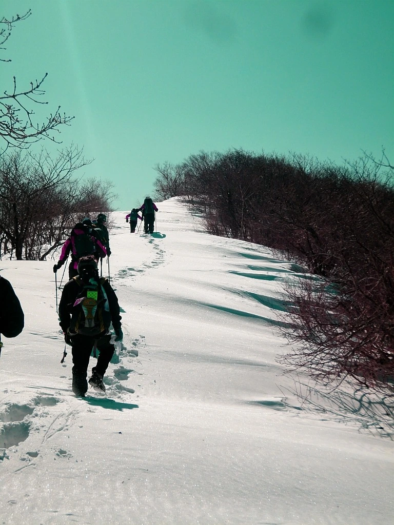 OtJDPUnoOO6jdDuL7zOVuCAb50E