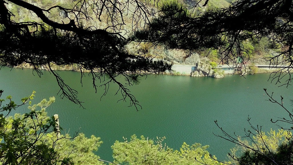 e74JZSaIlCSuTvquiHx-Zcz0LZM