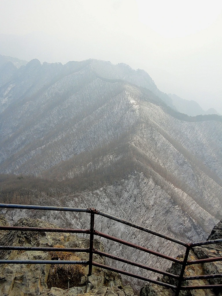 tam73Fs8FCqNETlv6uVWeROQ1l0