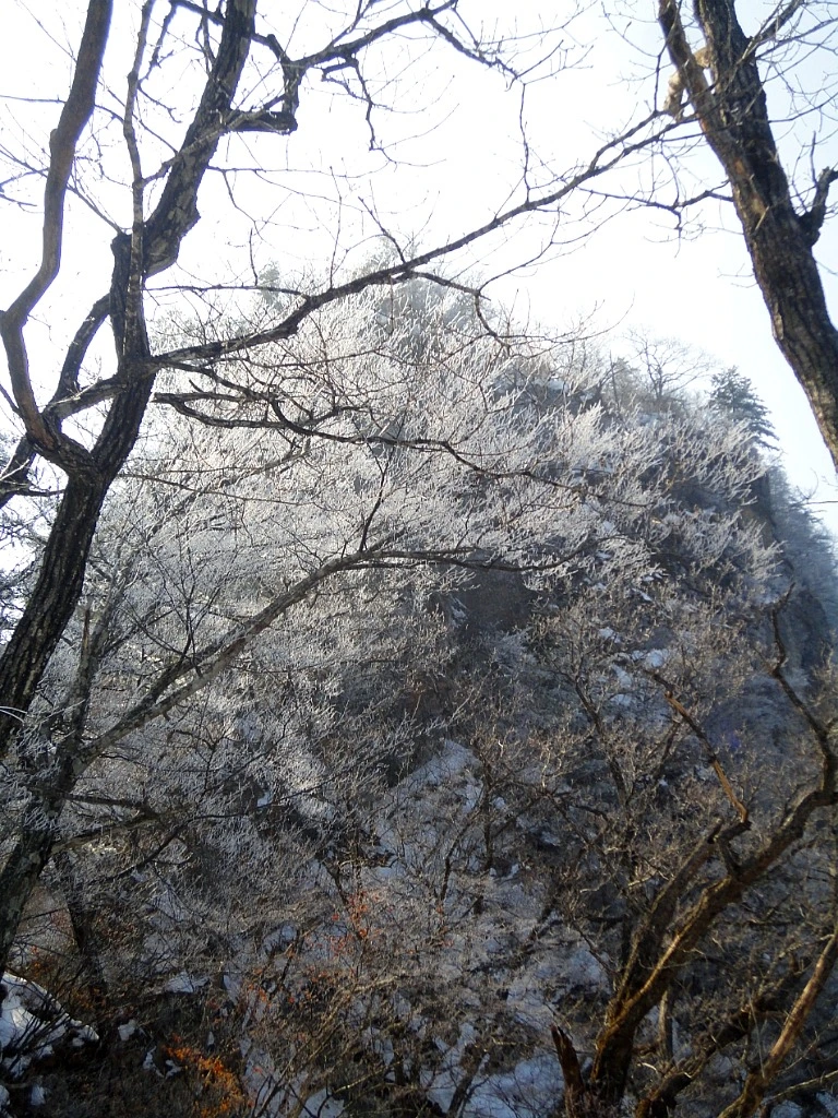 6KsqSPGMxIzTy7PYMCCxBS4dFHo