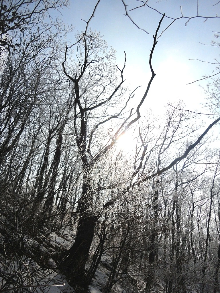 08NVfEg_TRDC-2emi4DeW24B8Rs