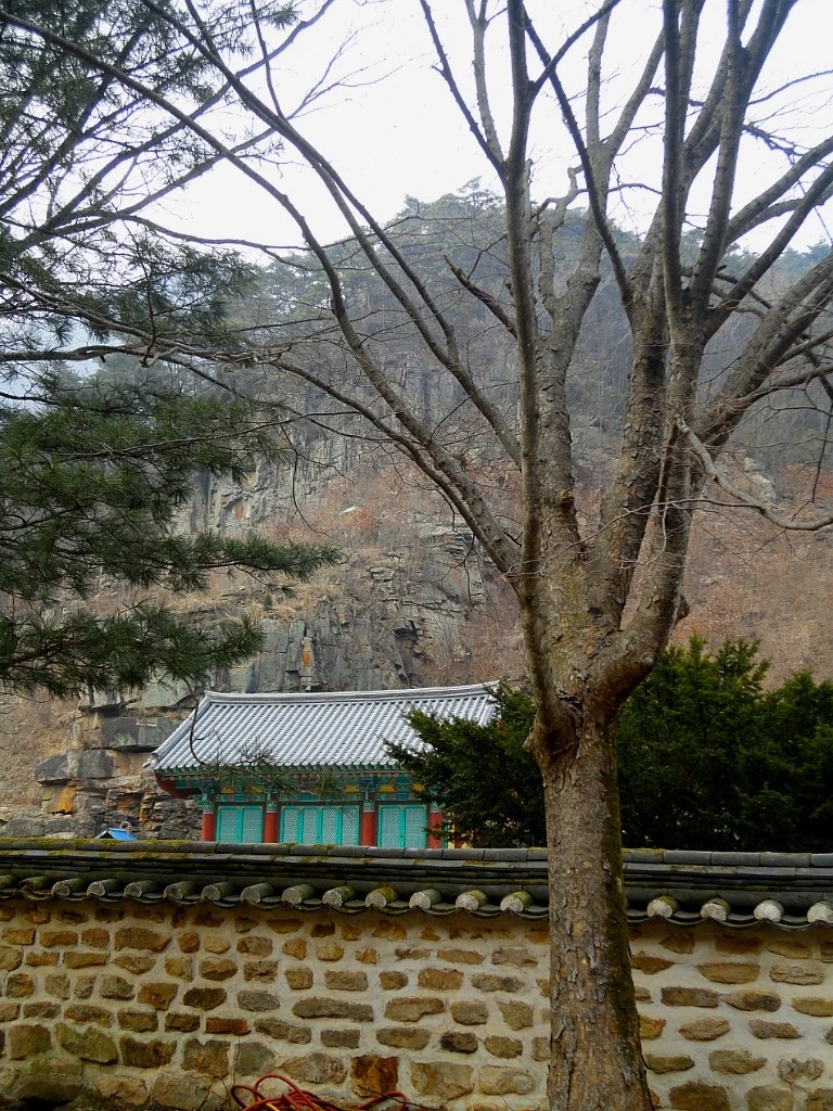 XBLoOyVGQLaeXkijTez68jLZCG8