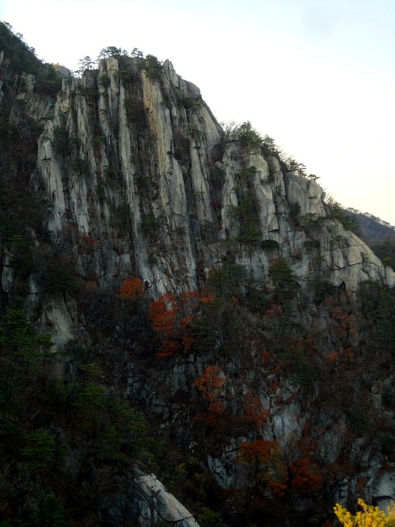 8NKb-z3XoU-ynSZQyWm0nXjHNek