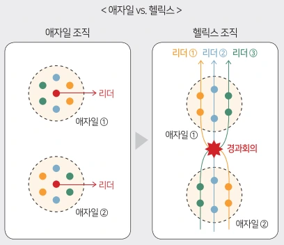 애자일헬릭스.PNG