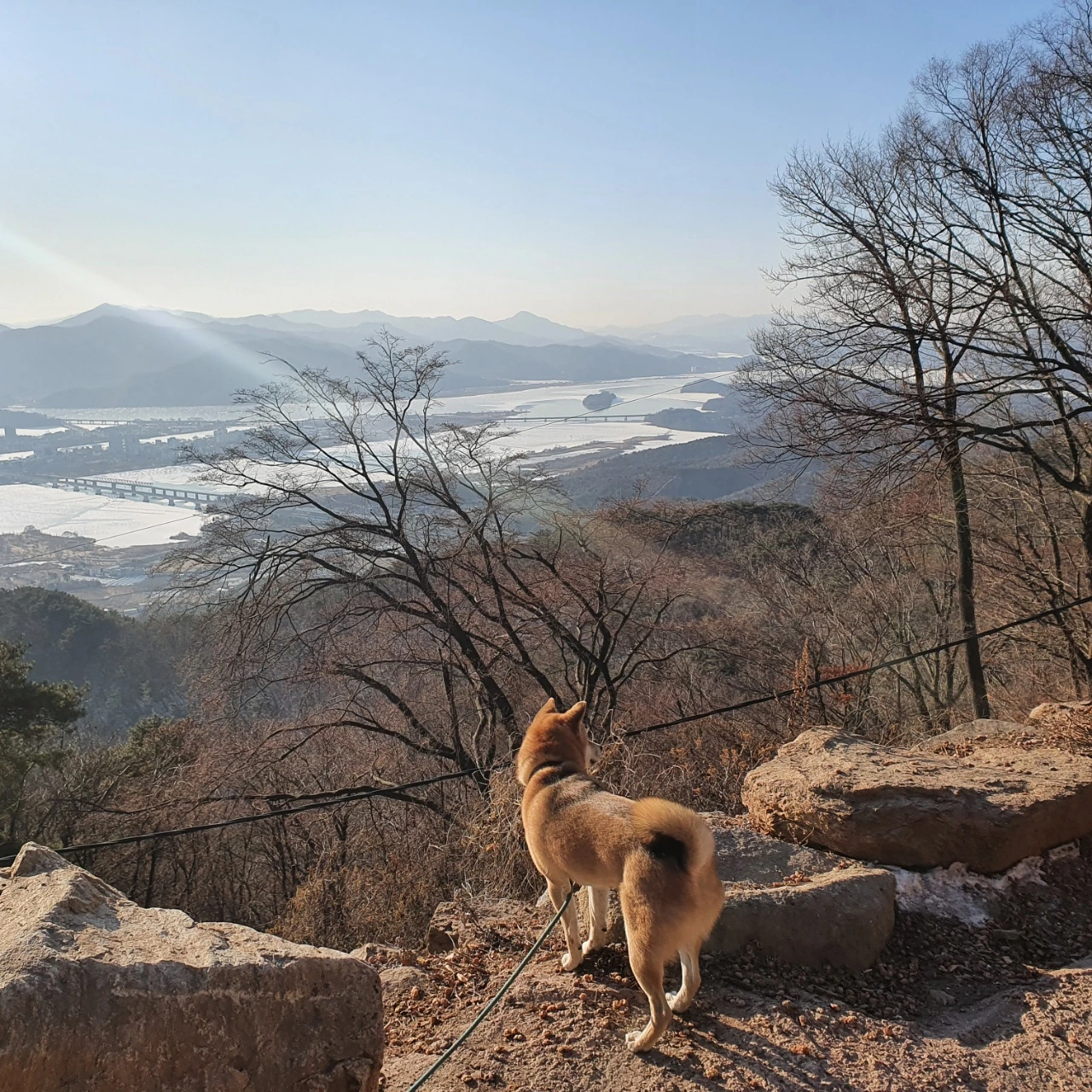 KakaoTalk_Photo_2022-02-05-16-02-59 015.jpeg