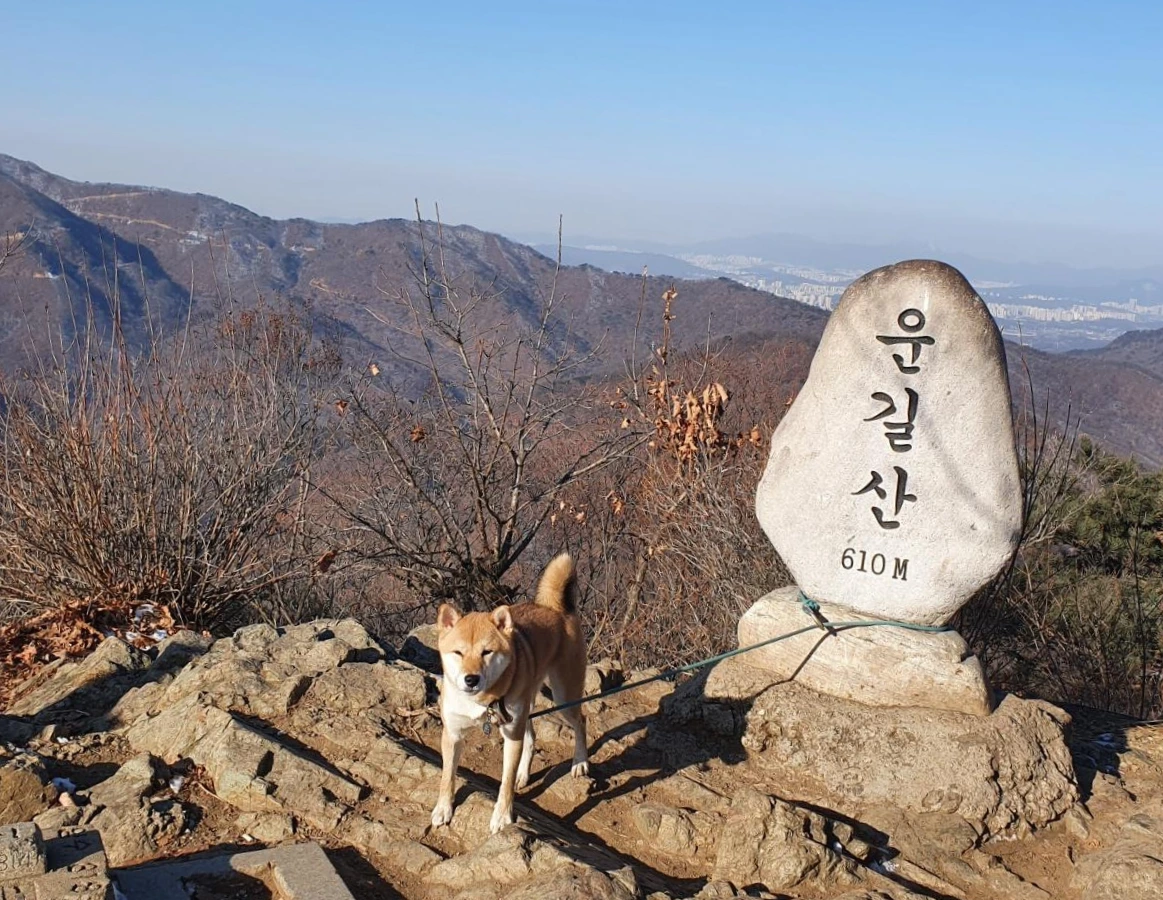 KakaoTalk_Photo_2022-02-05-16-02-58 008.jpeg