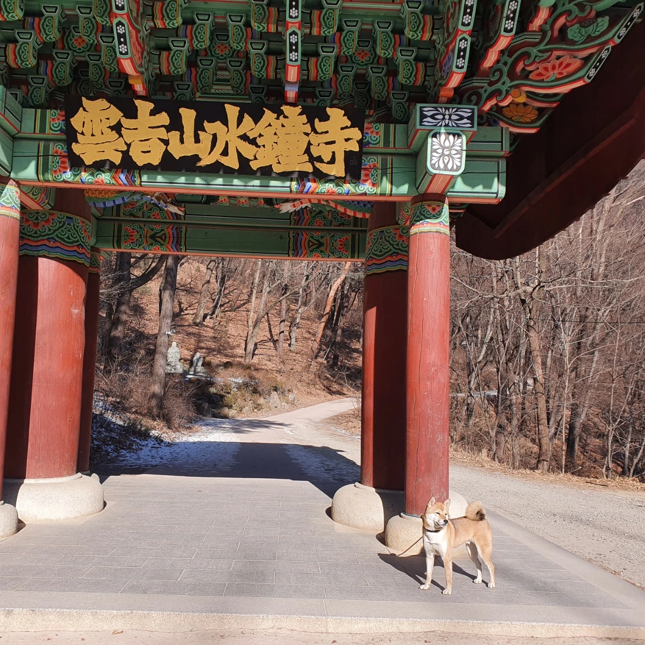 KakaoTalk_Photo_2022-02-05-16-02-57 004.jpeg