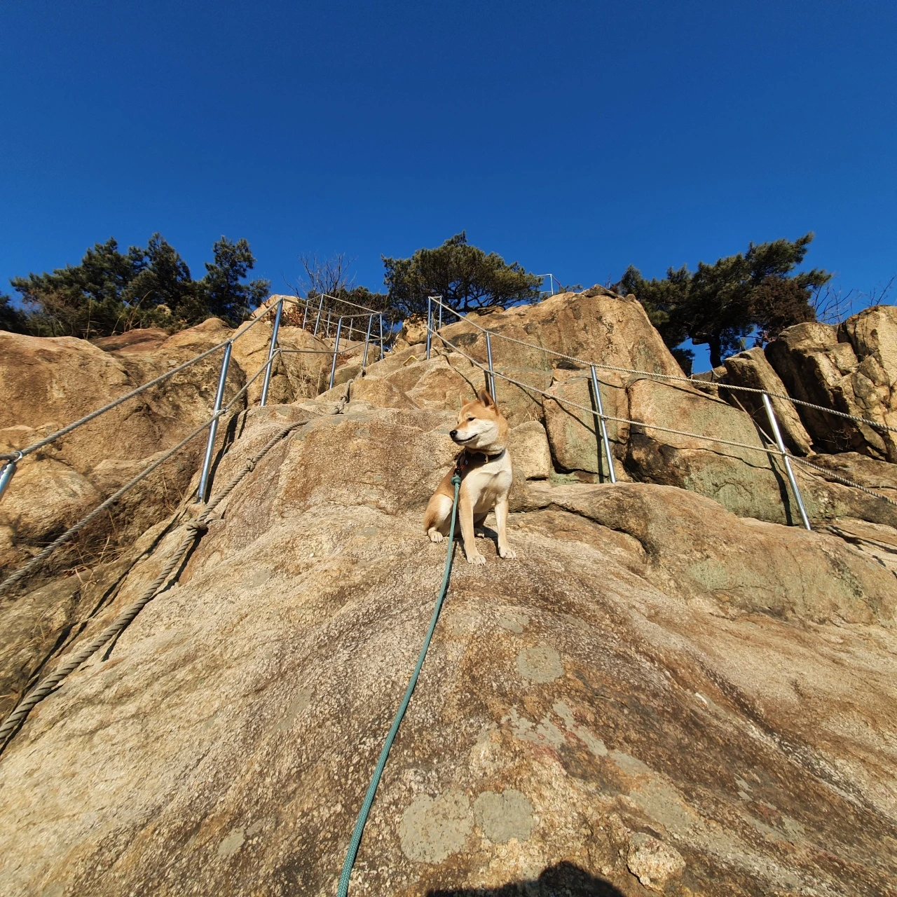 유키_불곡산_임꺽정봉 오르막중간_20220131.jpeg