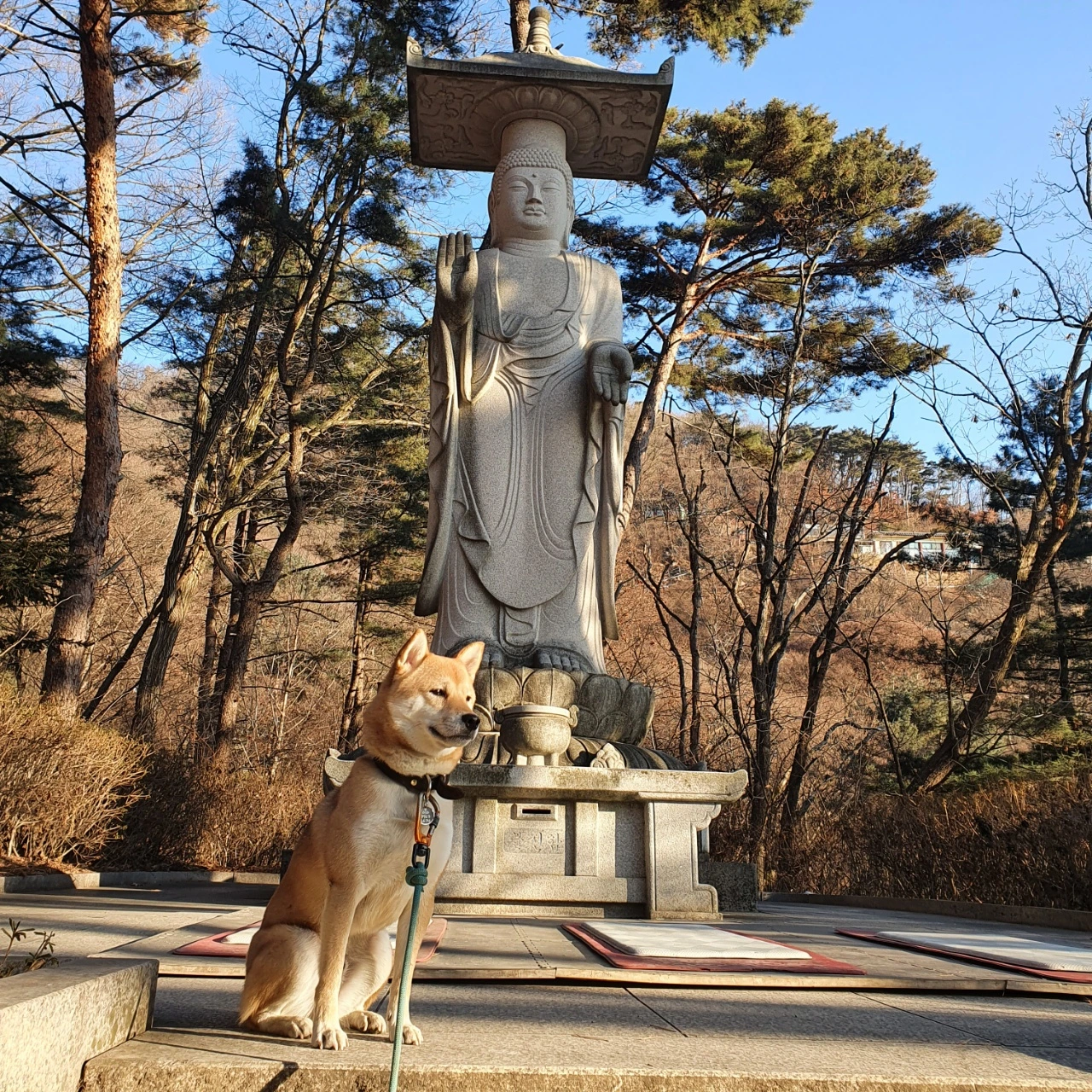 KakaoTalk_Photo_2022-02-05-16-02-59 017.jpeg