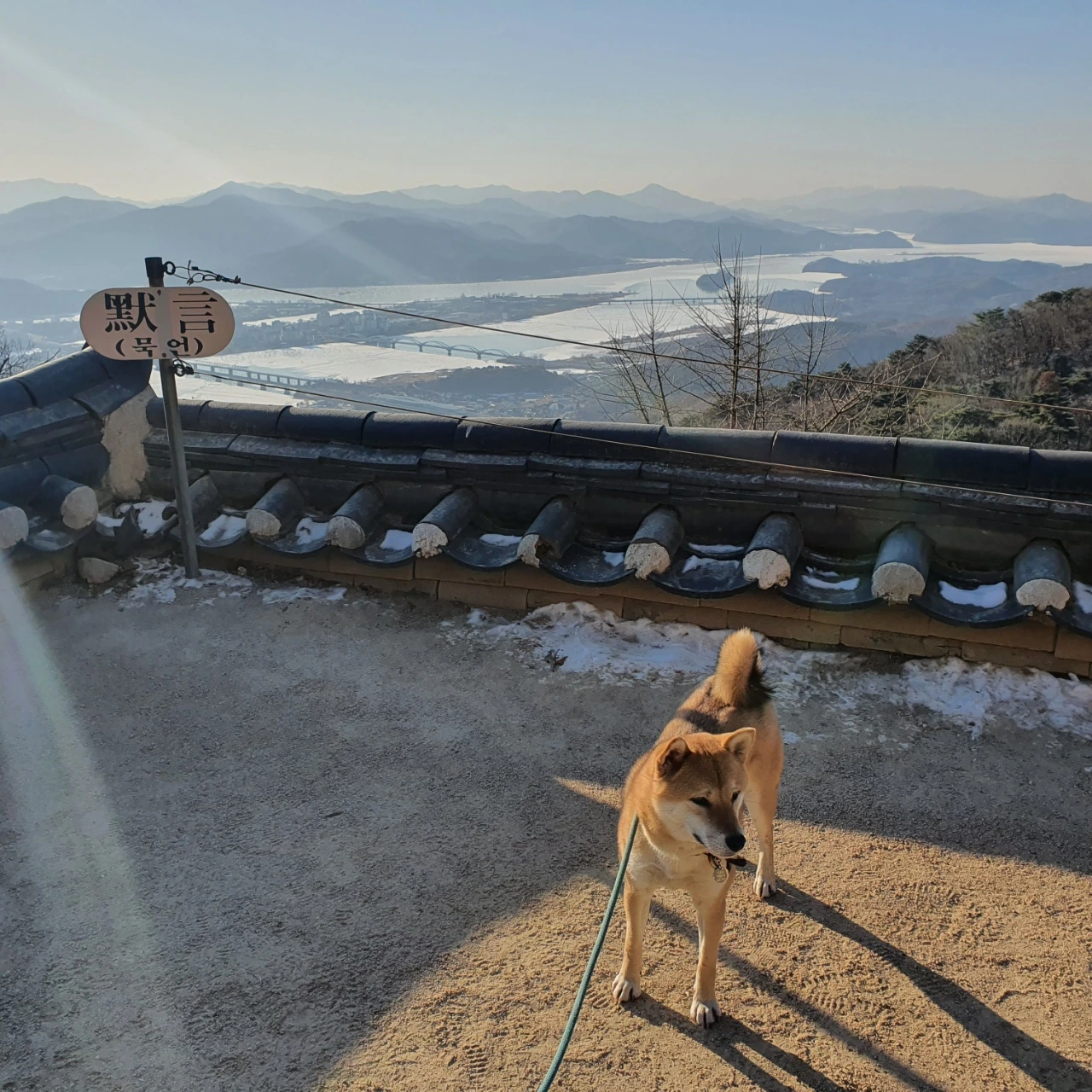 KakaoTalk_Photo_2022-02-05-16-02-58 014.jpeg