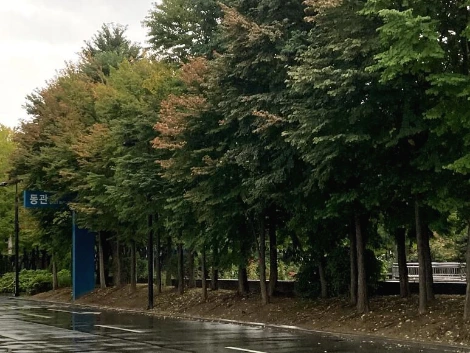 IMG_3907.jpg?type=w773