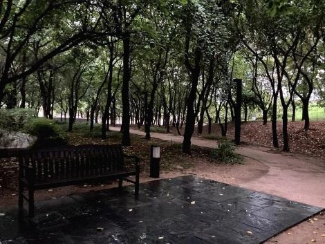 IMG_3914.jpg?type=w773