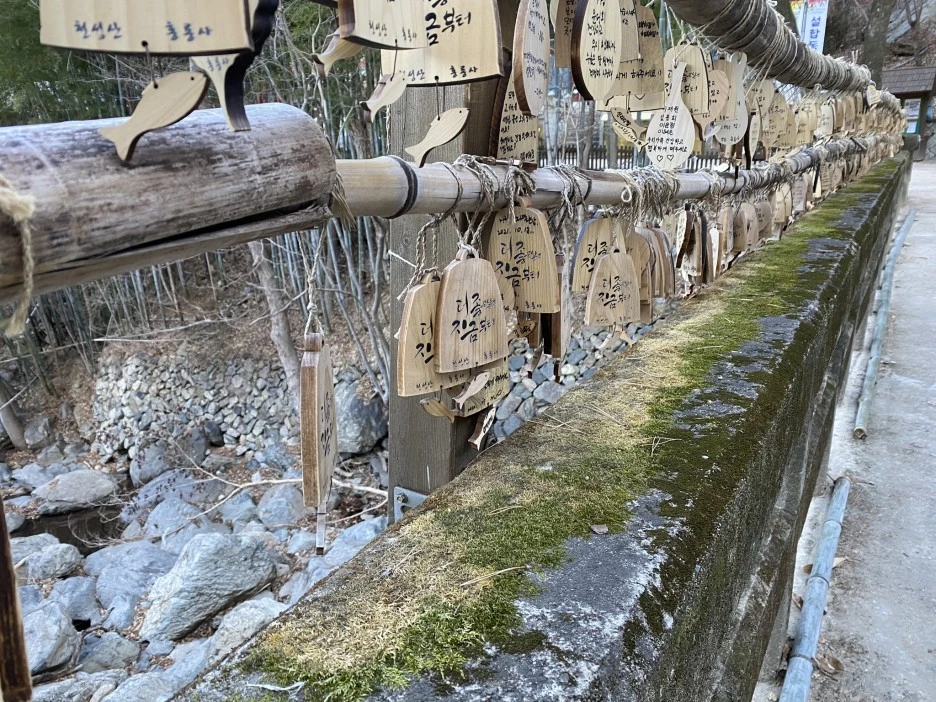 IMG_3098.JPEG?type=w1