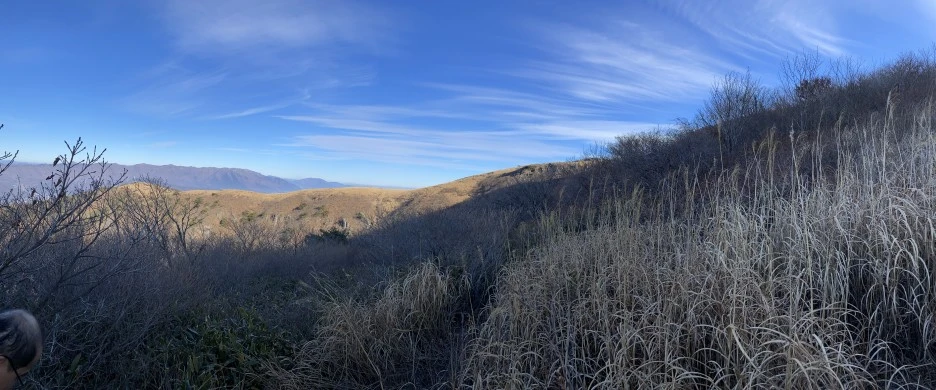 IMG_3102.JPEG?type=w1