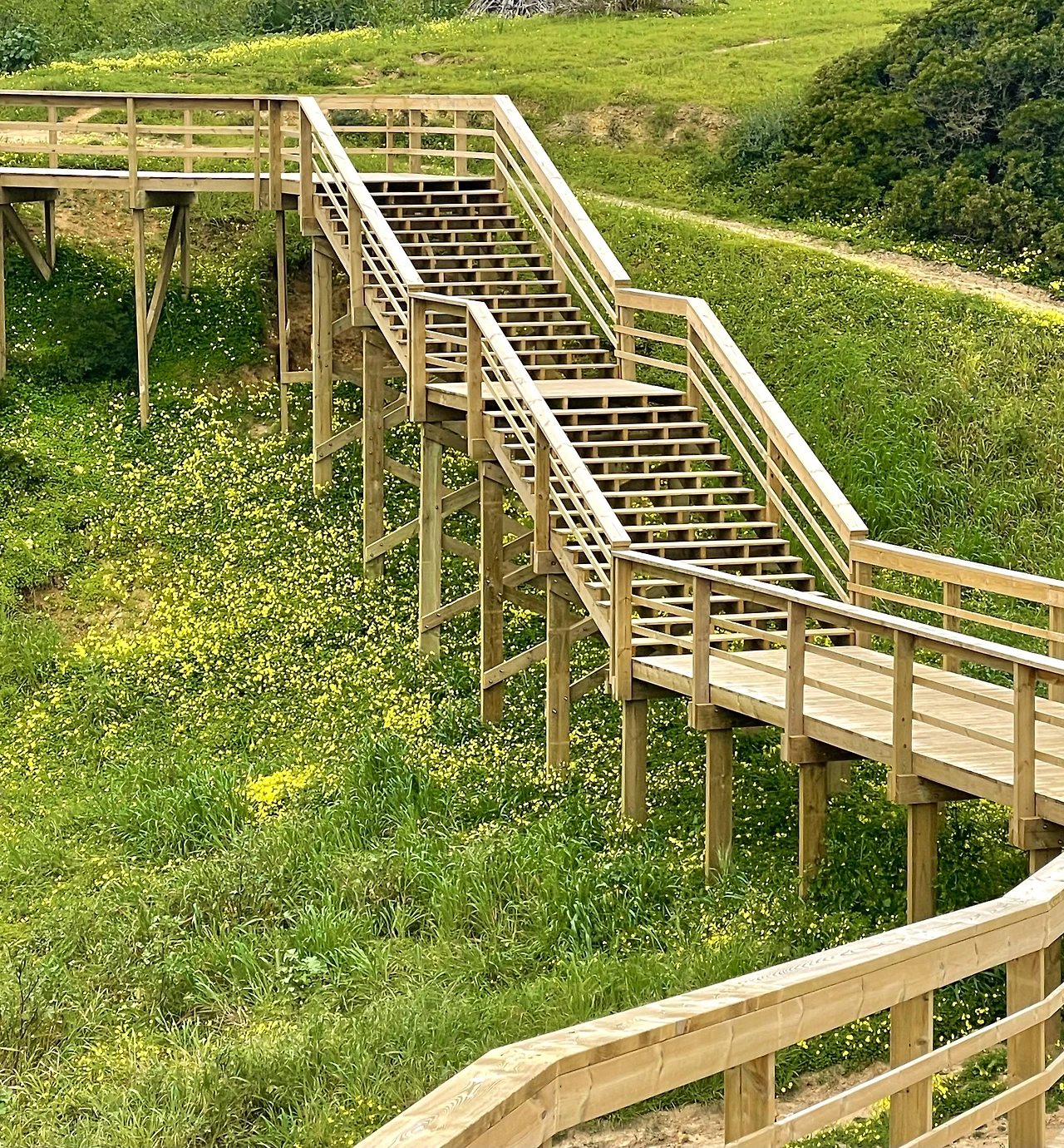 679206cc619fc.jpeg?imgSeq=42596