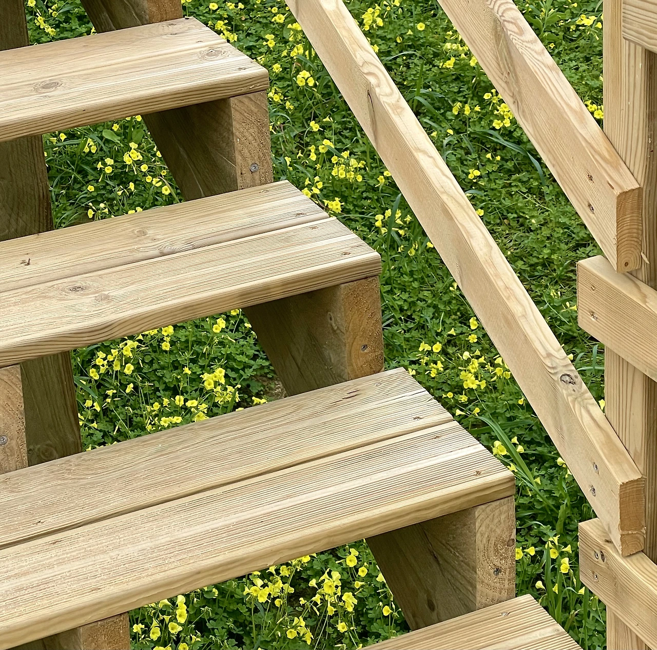 679206bb2b1a4.jpeg?imgSeq=42595