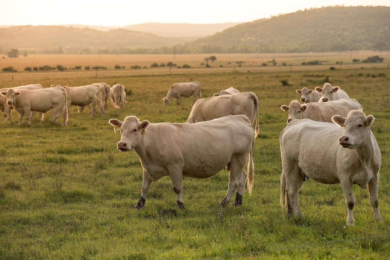 AD_4nXdwHWBHqRO7mCnrXcEegh1oUsFpNNhSKHGsHiej8UimO7DJVWZ4jqFZ7fQLxrQVUPjLKm2sumchkICThOiidejvJYzUJZOTjN9mOjGiyQdYBBAu7DGCDZMUk7onXijiMjIU-5jeoA5GHcHQKOtWYaT4w5c?key=jex4E47FSHYvBBRNw390XQ