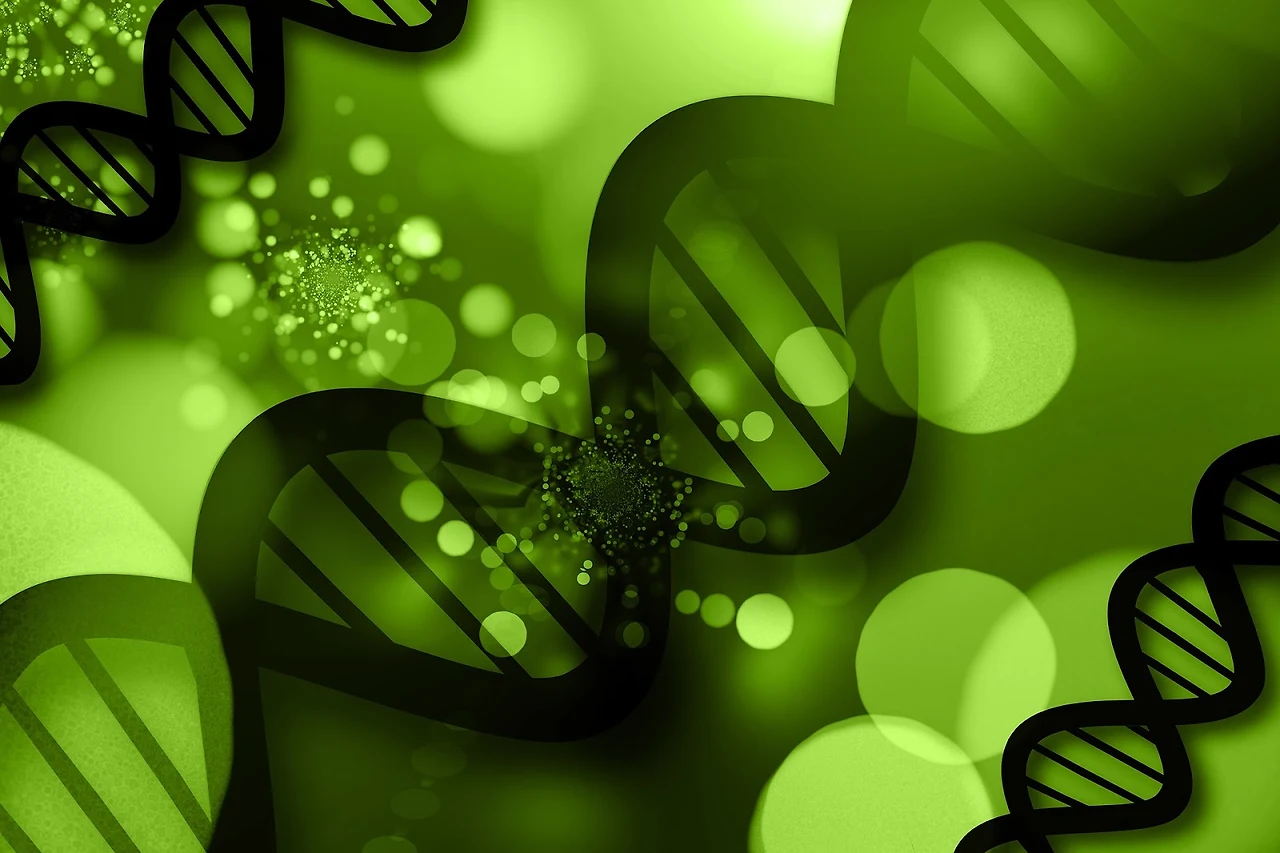 AD_4nXeGmcKG3DACYoT0WMeV4repy4kJL5VACtIlLimXM6f8QGlTPUDf5U1Ow7uhHNn8GHn-kDuv7loZOaYT7bJm57jx4foP5olh0jjOJbMZCGx-Rl1KVe_dV2_fYd8gWwK57n7S4fGQ6m4HAuXL3ouCYolNHzc?key=pLJwVH6N5wmzAxGASrWMXg