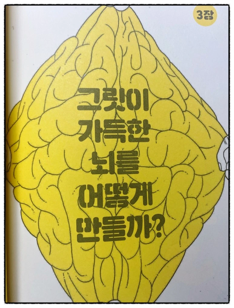 SE-fc209c2f-9ce9-4a83-b969-607c0a6e6049.jpg?type=w773