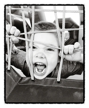 SE-5c462a67-b093-42f6-adc6-9fb55221ceca.jpg?type=w773