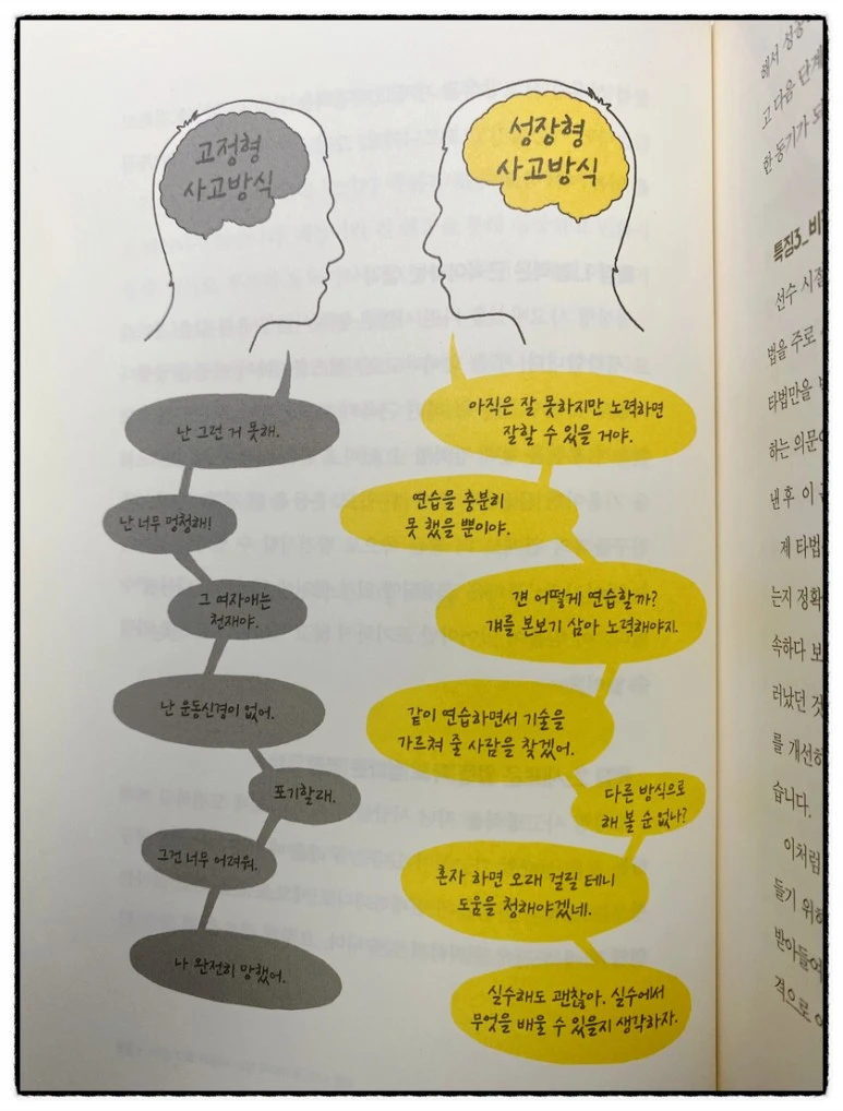 SE-1a5b2a7d-1e05-4449-92c4-15ee818936d5.jpg?type=w773