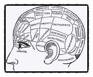 SE-debbfedd-639e-4640-ad4f-a455a89ab0d6.jpg?type=w773