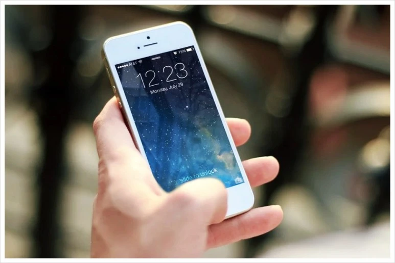 SE-0704f765-a2a2-4bc4-afaf-dbe98abaaaea.jpg?type=w773