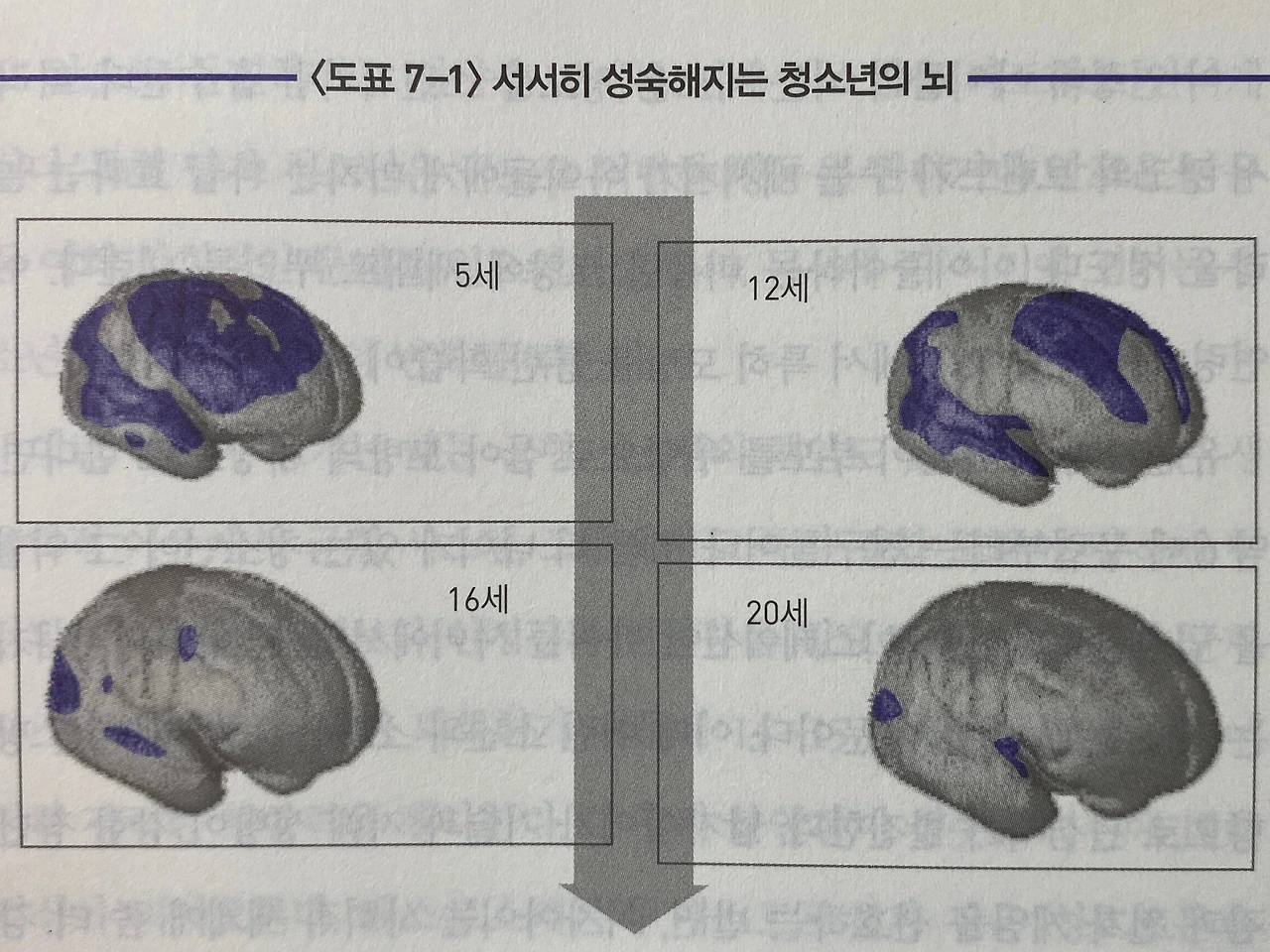 변연계_머릿속 가장 강력한 권력.JPG