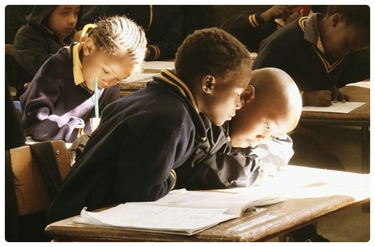 SE-c2fe17ad-06ae-4b24-8812-e2e2e911db4e.jpg?type=w773