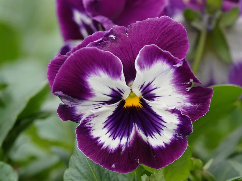 DSC09228.JPG?type=w1