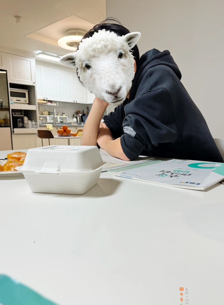 SE-B82DBD34-8E1D-42EE-8291-4CC736EA634A.jpg?type=w966