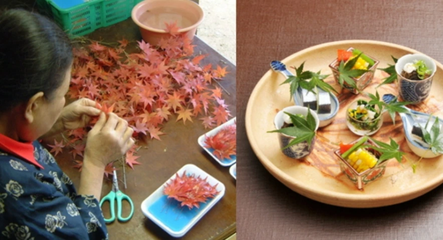 naq5ODSa84gdJp24k8vTMlW4iMlfnzoR_LpwxGi-REzmdYplSpQG6hV6rjY789nz5KNVRW0tQ9KScteSNUyZLi0BgGuHmPMc1rr8Z011HpC5g6SPOIOwGZYKEEq47HMwkK1i5edCaLcsJUS6Ow