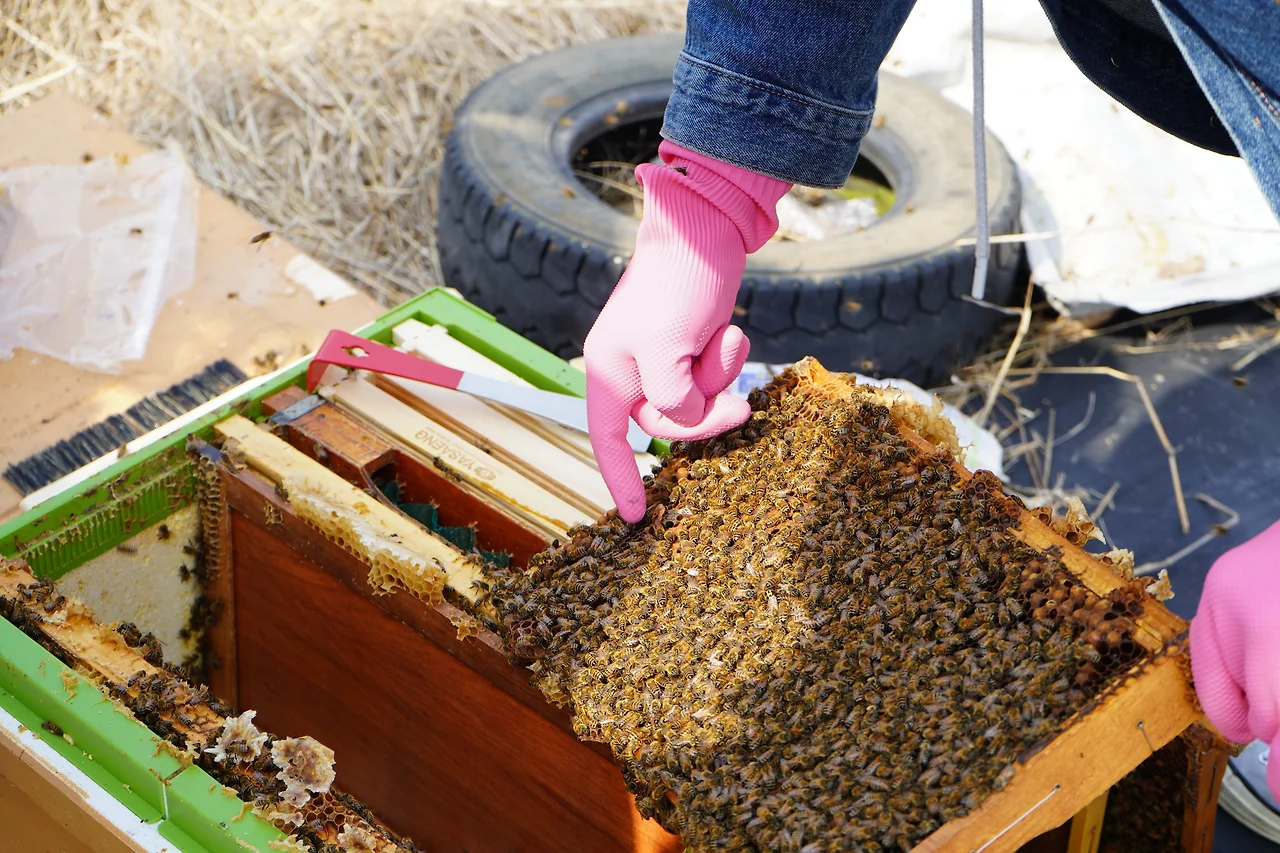 o.jpg?allow_ip=&allow_referer=&convert=&credential=x1C3ERO3HtWumceYJIc6Iy5xFkaVEoIp&expires=1711284817&signature=4mjPuHCmB7zX0Eqs5SXppw%2BMLoY%3D&watermark=&wsc=