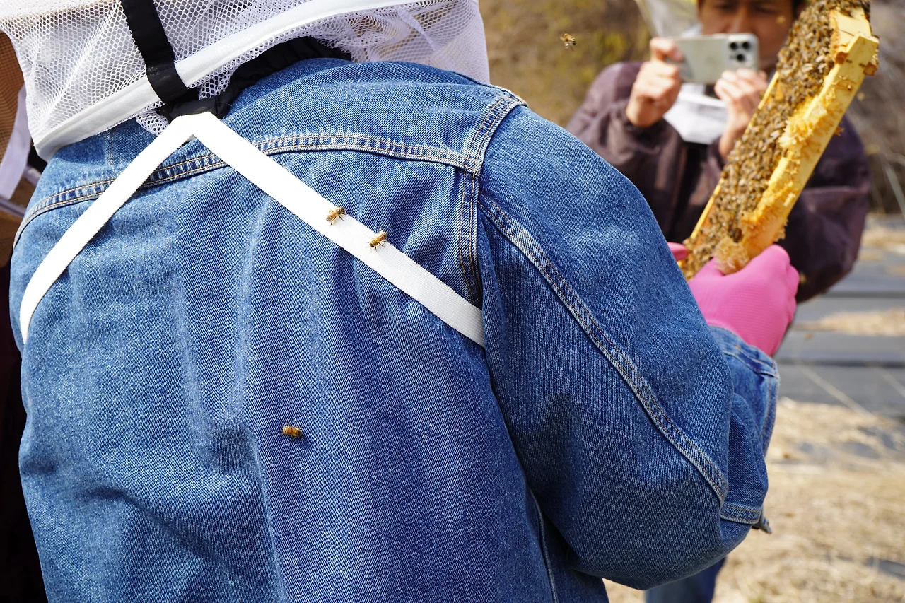 o.jpg?allow_ip=&allow_referer=&convert=&credential=x1C3ERO3HtWumceYJIc6Iy5xFkaVEoIp&expires=1711284906&signature=aAK17Wj4E%2FR81PZf7ljUi0Ktm98%3D&watermark=&wsc=