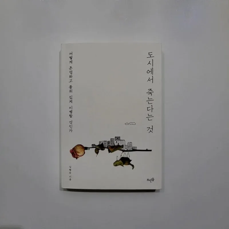 KakaoTalk_20241101_152124249.jpg?type=w800