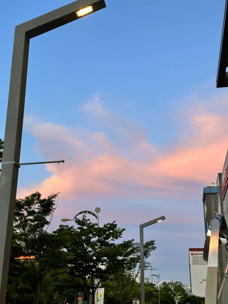 IMG_2668.jpg?type=w773