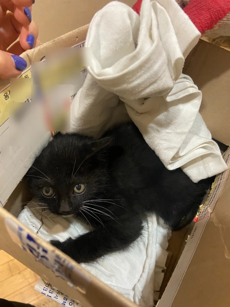 SE-030e6663-366d-419e-b28a-ed14b4e9a9bc.jpg?type=w773