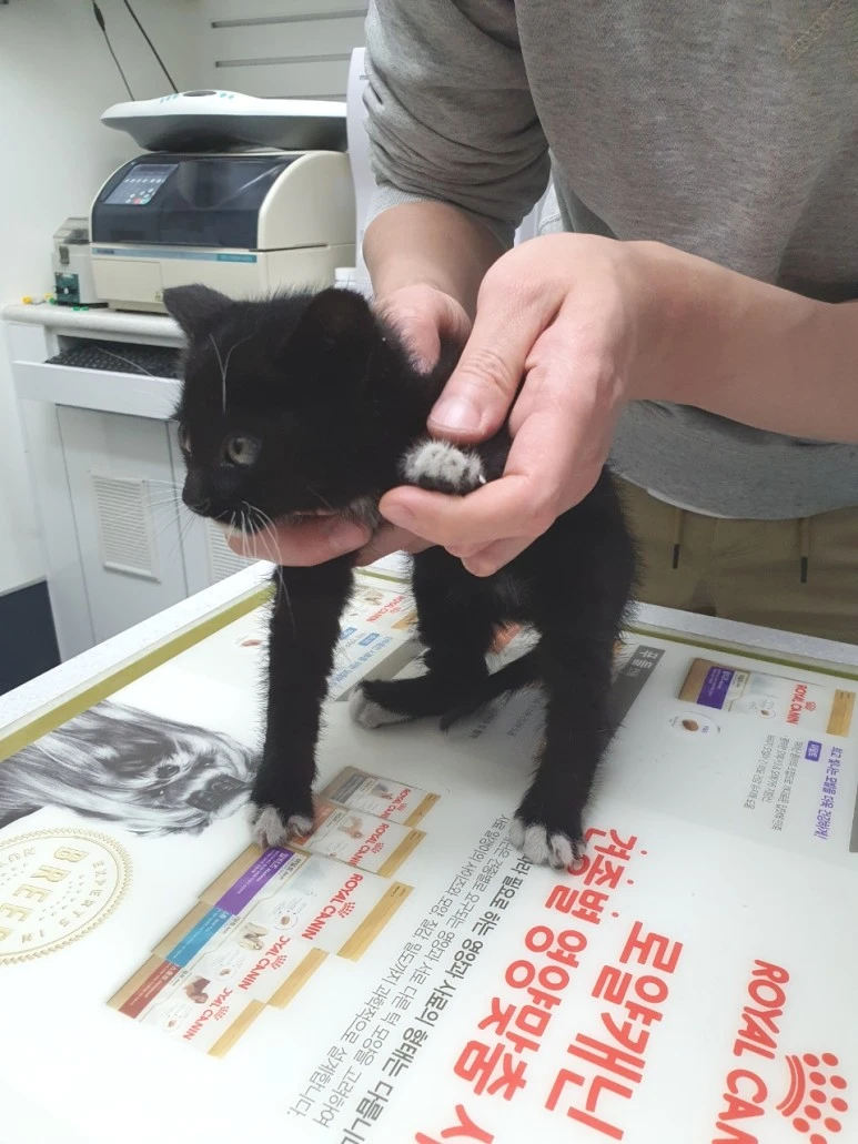 SE-3bb0fd6d-b3ec-4681-8f88-814f9a39a2cc.jpg?type=w773