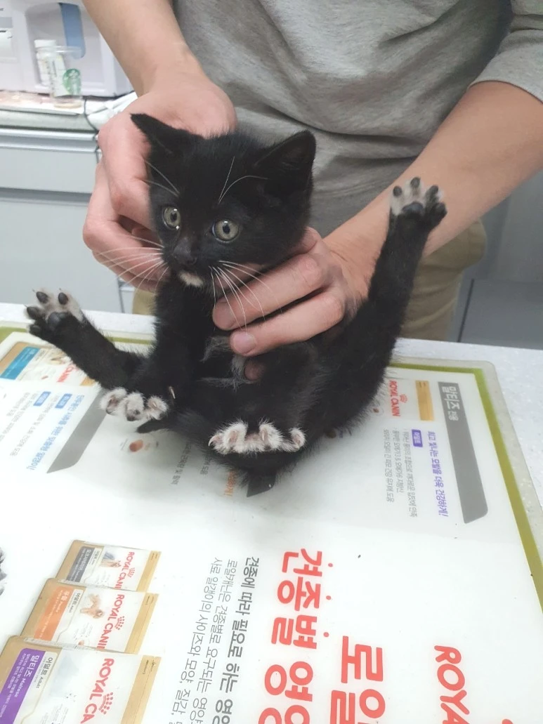 SE-582ac33c-040c-44fd-8f1e-9b8c26420825.jpg?type=w773