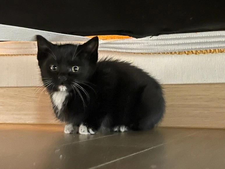 KakaoTalk_20220105_010644978_01.jpg?type=w773