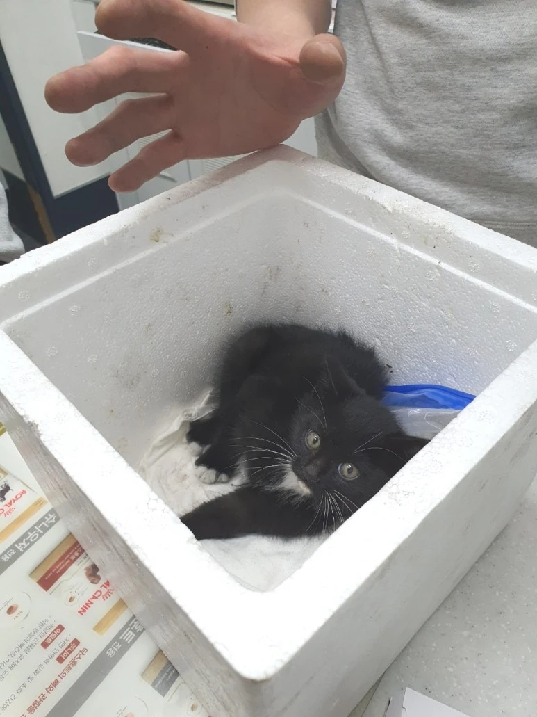 SE-92a13171-a0df-44e8-8666-4ab2e57b270b.jpg?type=w773