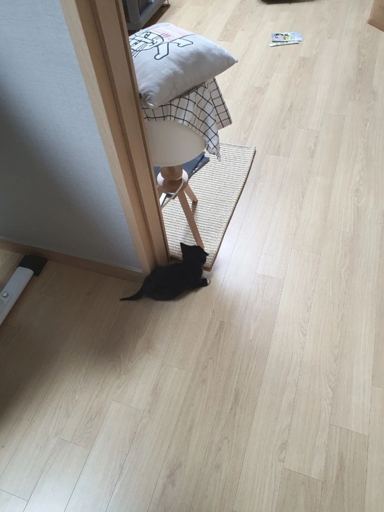 SE-57a078d1-c318-48a9-8a33-7edf7ba93a71.jpg?type=w773