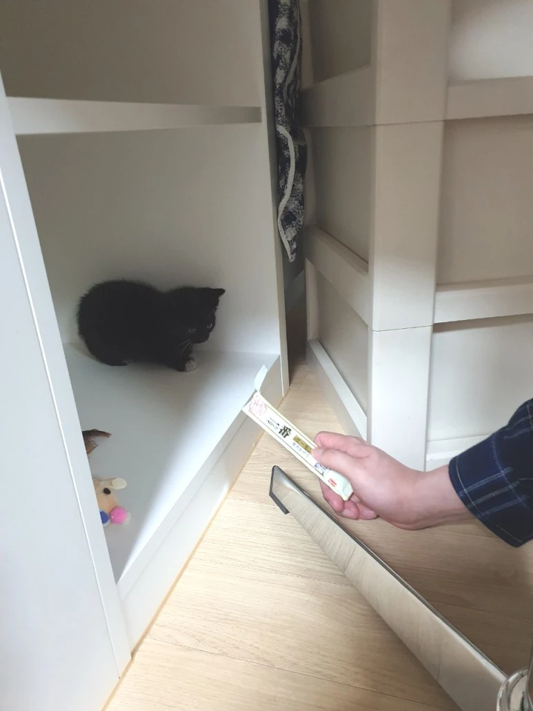 SE-6b414a77-377e-4f0e-89f3-6dc77c458bbd.jpg?type=w773