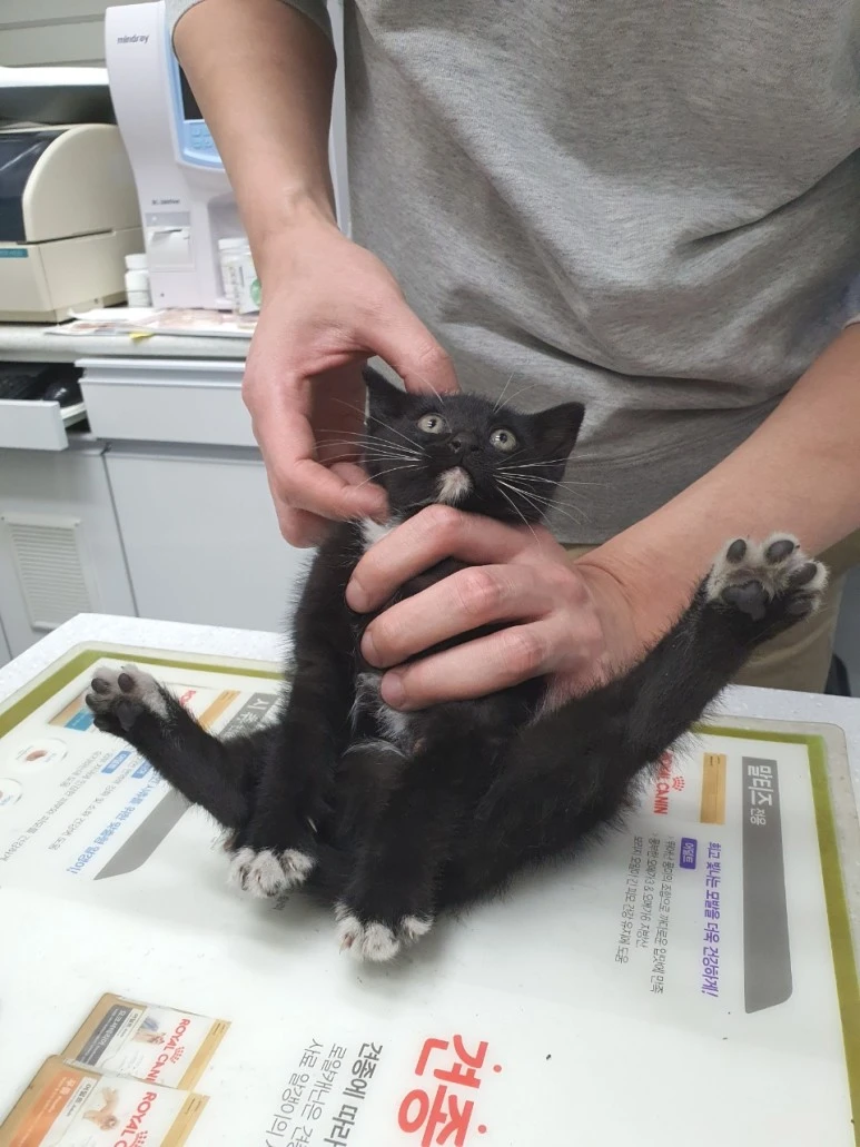 SE-96eb9b1b-83e1-4720-9a4d-8da3c49d2931.jpg?type=w773