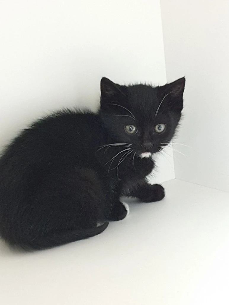 KakaoTalk_20220105_010644978_06.jpg?type=w773