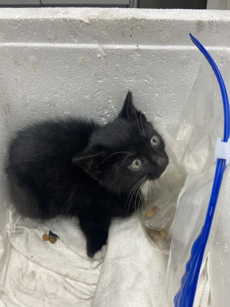 KakaoTalk_20220105_010722947_07.jpg?type=w773