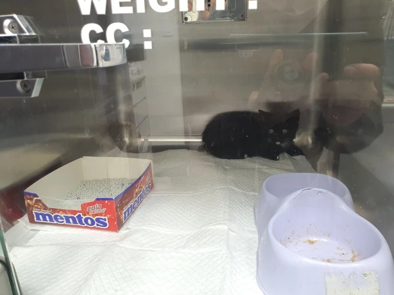 SE-0e52c481-2c05-4b85-9f8e-ead491dcf9b0.jpg?type=w773