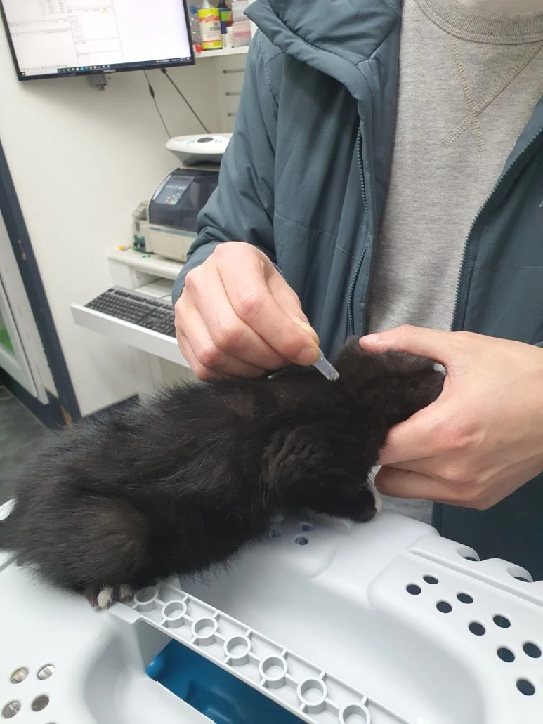 SE-04fc19e5-c21a-4fe7-9d70-91d5dc53daa1.jpg?type=w773